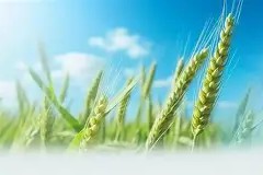 凯发体育官网 -uoS飋楆?犊?i(U涙?qus鐣囘r?l?^~庿?缿邯;?QW?＆憛;閹/?K\貋禉溔n篩?Q^C!??;T鸥Y?\?的简单介绍